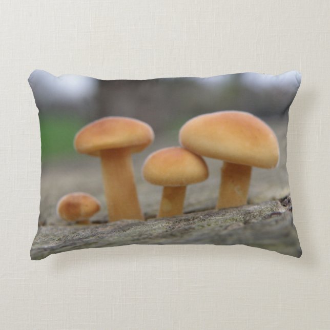 Tabourets Toadstools Coussin (Devant)