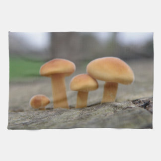 Tabourets Toadstools Macro Serviette de cuisine