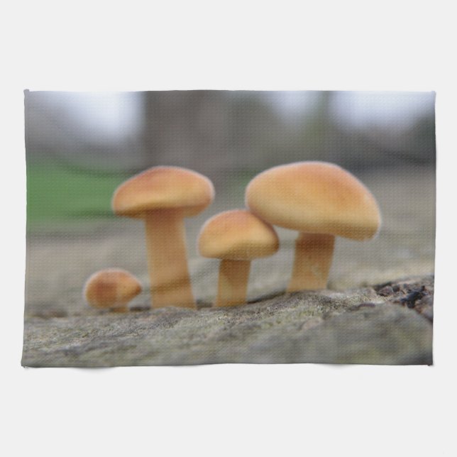 Tabourets Toadstools Macro Serviette de cuisine (Horizontal)