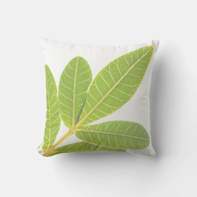 Taie de coussin aux feuilles de houx brésilien ver (Recto)