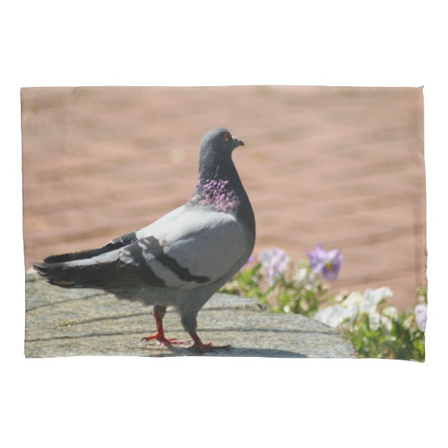 Taie d'oreiller faite sur commande de pigeon pour (devant)