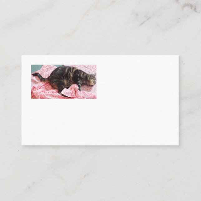 Tailor Dave Cartes de visite américains (Devant)