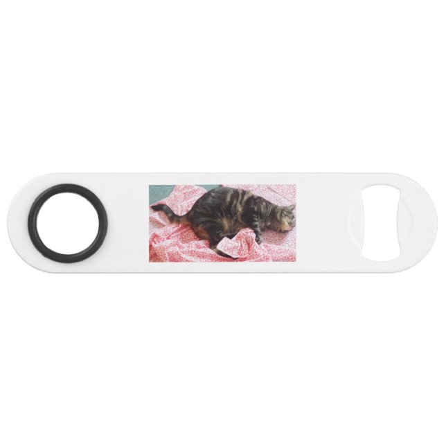 Tailor Dave Speed Bottle Opener (Devant (Horizontal))