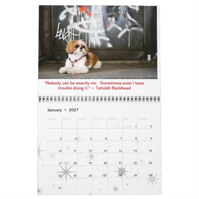 Tallulah Bean Calendrier Cute Shih Tzu (Jan 2027)