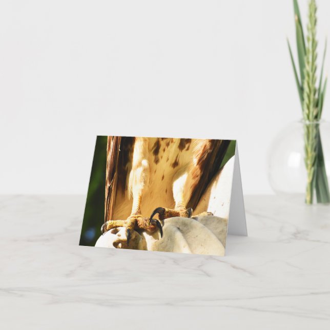 Talons (Buse à queue rouge no 2) - Carte à billets (Devant)