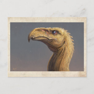Talon's Head - Carte postale