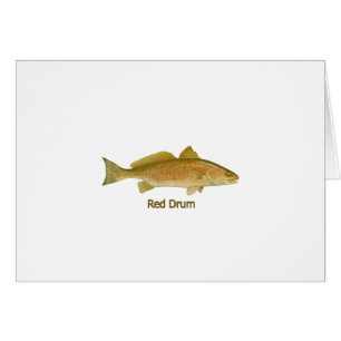 Tambour rouge (intitulé)