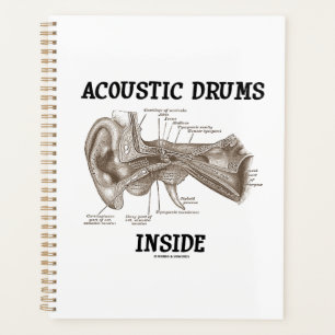 Tambours Acoustiques Dans L'Anatomie De L'Oreille