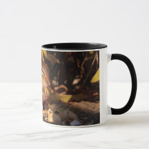 Tamia - tasse
