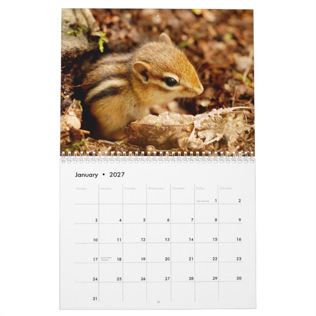 Tamia ! Un calendrier mural 2013 mignon superbe (Jan 2027)