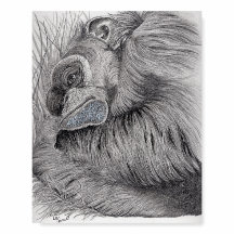 Tammy the Chimp - Planche de mousse