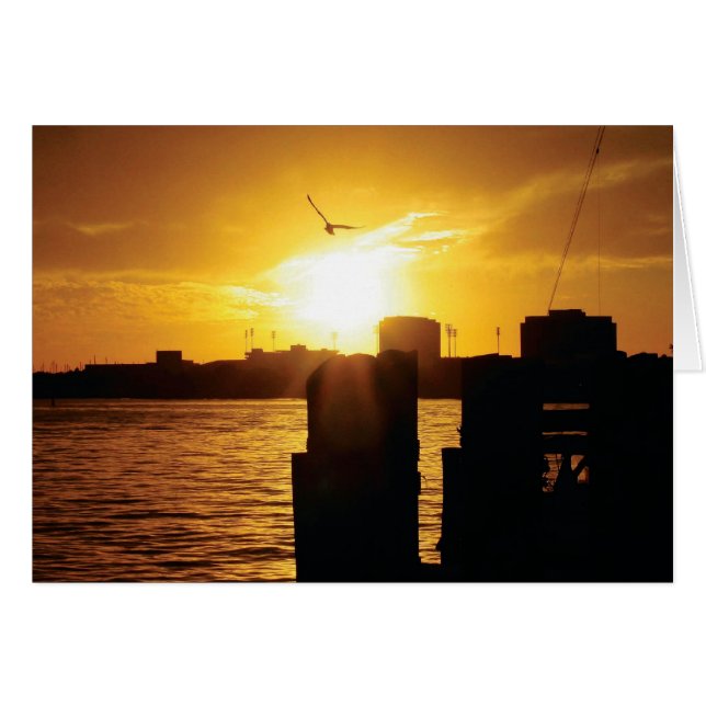 Tampa Bay (Devant horizontal)