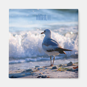 Tampa, FL fridge magnet