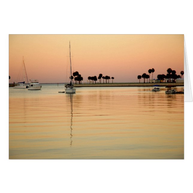 Tampa, Floride (Devant horizontal)