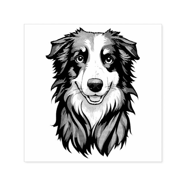 Tampon Auto-encreur Bordure Collie (Design)
