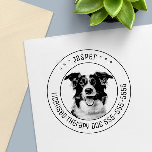 Tampon Auto-encreur Bordure Collie Chien Animaux de compagnie photo ro