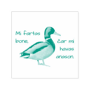 Tampon Auto-encreur Espéranto : Je vais bien, car j'ai un canard.
