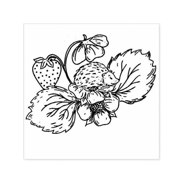 Tampon Auto-encreur Hedgehog on Strawberry Plant Stamp (Design)