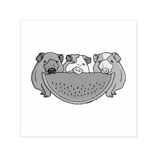 Tampon Auto-encreur Illustration des Cochons de Guinée et de la pastèq (Design)