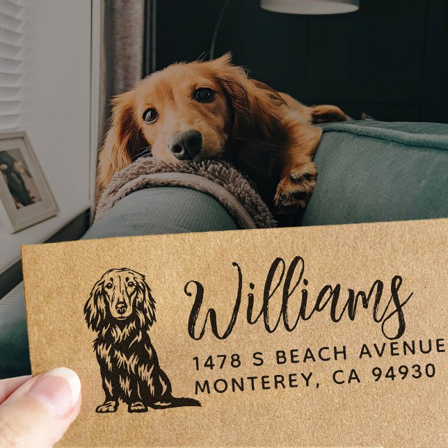 Tampon Auto-encreur Long Haired Dachshund Propriétaire Adresse de reto (Créateur téléchargé)