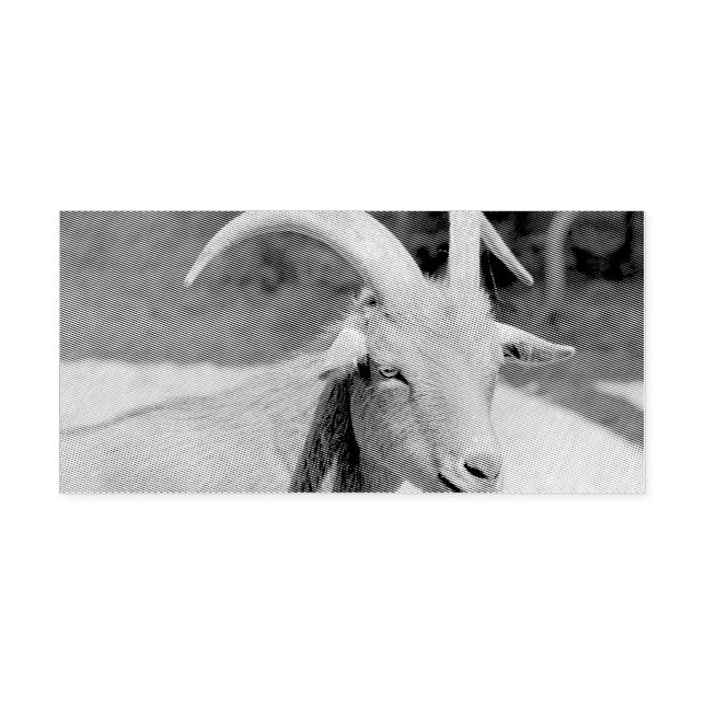 Tampon Auto-encreur M. Bill (Design)