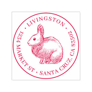 Tampon Auto-encreur Nom de famille rond de croquis de lapin et adresse