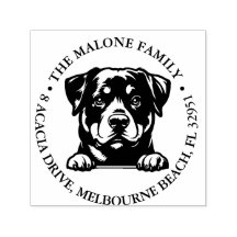 Peeking Rockweiler Puppy Thème personnalisé