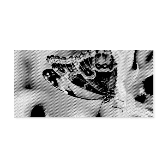 Tampon Auto-encreur Peinture à papillon (Design)