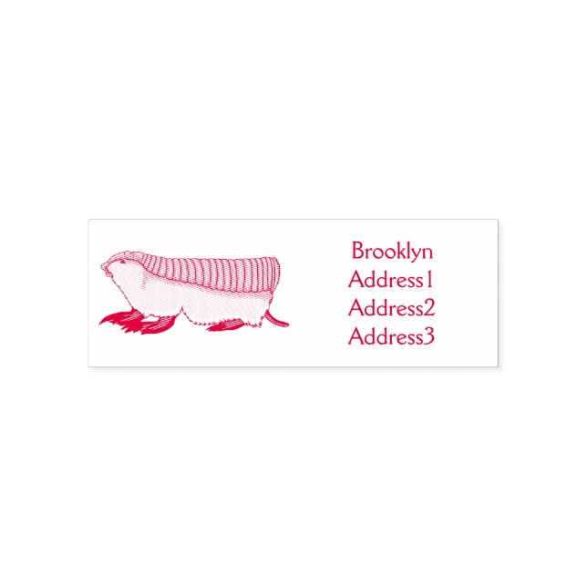 Tampon Auto-encreur Pink fairy armadillo (Design)