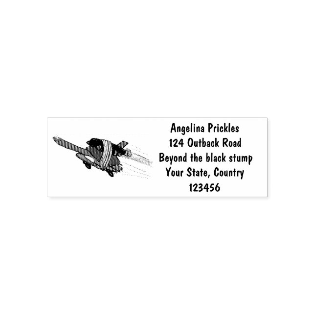 Tampon Auto-encreur Tortue volante (Design)