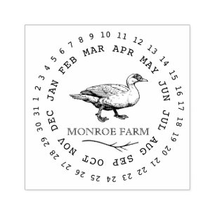 Tampon carton d'oeufs de canard élégant de ferme v
