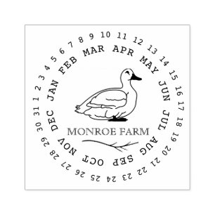 Tampon carton d'oeufs de canard élégant de ferme v