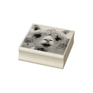 TAMPON DE RUBBBER DE L'ALPACA