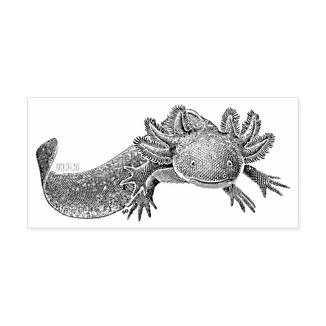 Tampon en caoutchouc Axolotl (Impression)