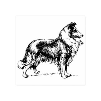 Tampon en caoutchouc pour chien Collie