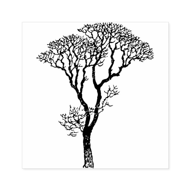 Tampons Encreurs Afrique Arbre Timbre 4 Passeport Safari Passe (Impression)