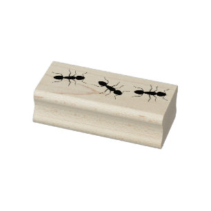 Tampons Encreurs Ants (homonymie)