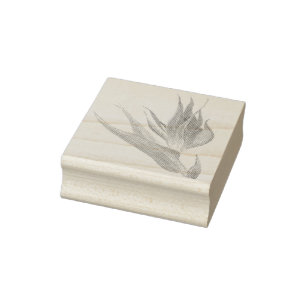 Tampons Encreurs Aquarelle Oiseau Tropical Du Paradis