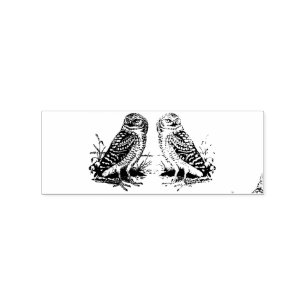 Tampons Encreurs Barne Owl Thunder_Cove