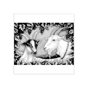 TAMPONS ENCREURS BILLY & KID NAPA VALLEY GOATS RUBBER STAMP