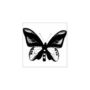Tampons Encreurs Bogue d'insectes papillon illustration originale