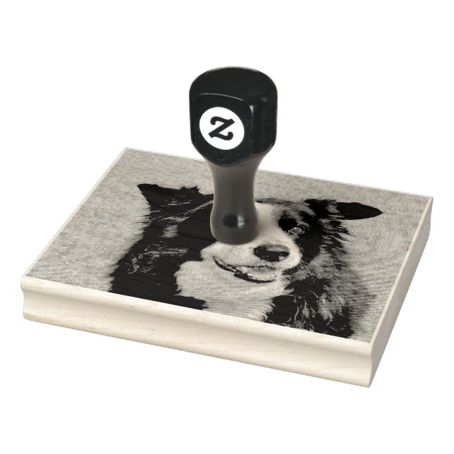 Tampons Encreurs Bordure Collie (Tampon)