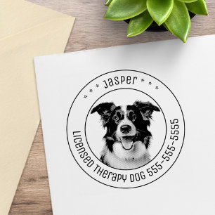 Tampons Encreurs Bordure Collie Chien Animaux de compagnie photo ro