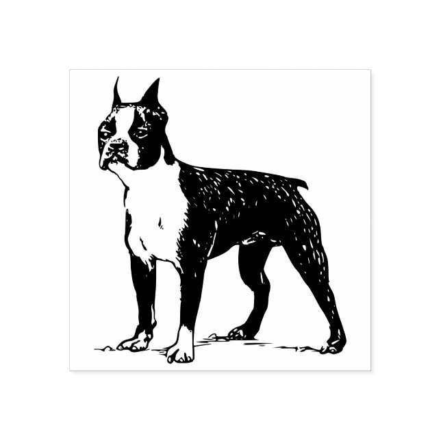 Tampons Encreurs Boston terrier (Impression)