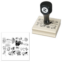 Botaniques et champignons Vintages