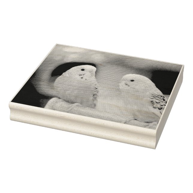 Tampons Encreurs Bouchons sérieux (Tampon)