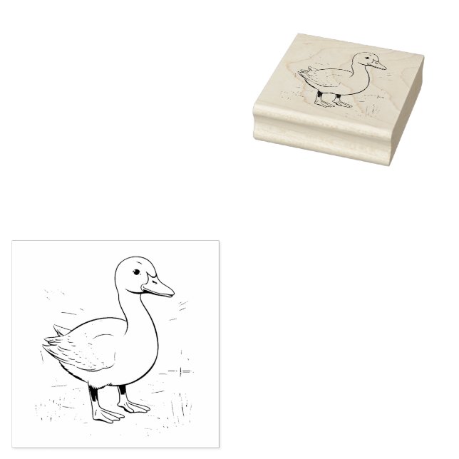 Tampons Encreurs Canard (Tamponné)