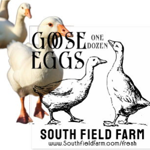 Tampons Encreurs CANARD OU OEUFS DE GOOSE Timbre du marché agricole