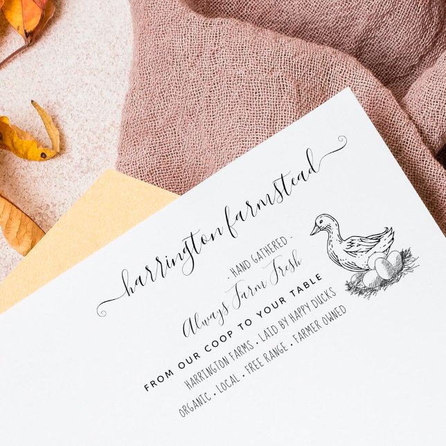 Tampons Encreurs Canard tiré à la main Famille ferme OEufs frais Ca (Créateur téléchargé)