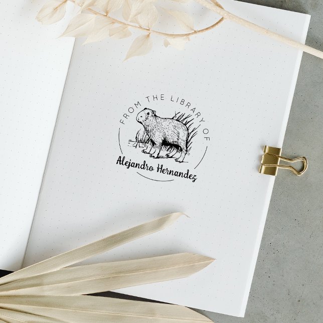 Tampons Encreurs Capybara De La Bibliothèque De, Livre (Créateur téléchargé)
